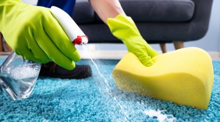 New Trends in Stain Removal That Transform Cleaning & Maintenance