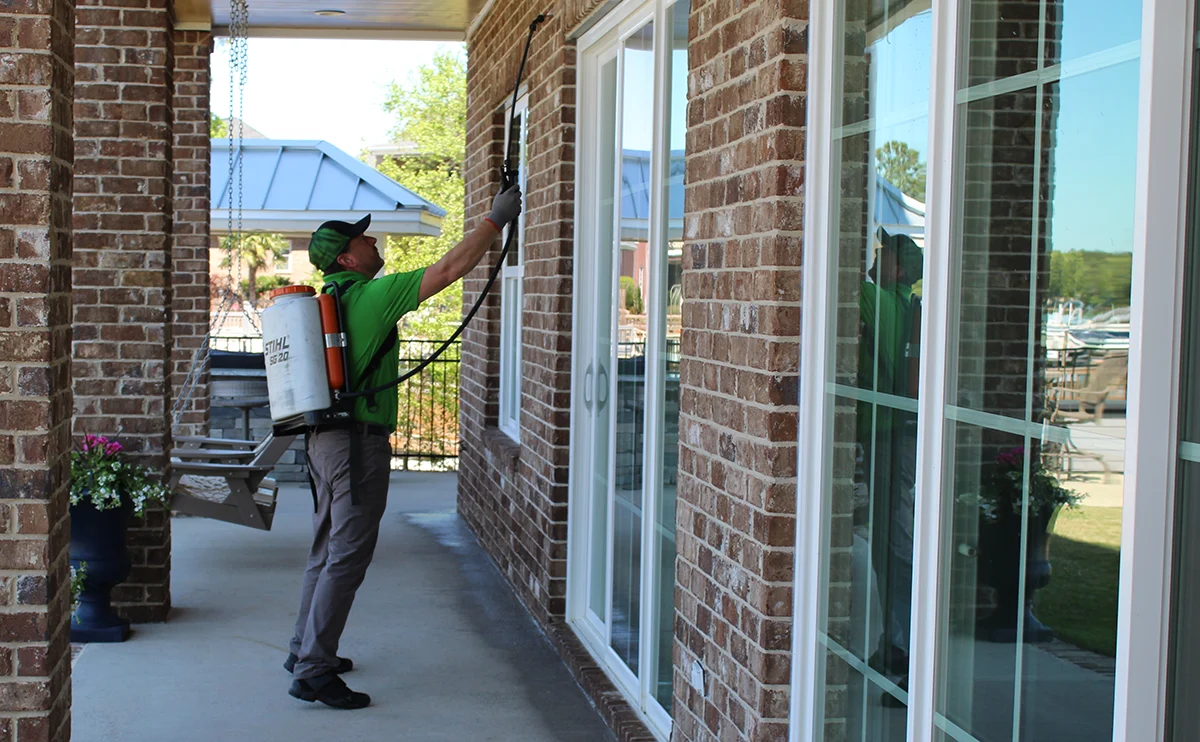 Why Regular Pest Inspections Are Essential for Every Property