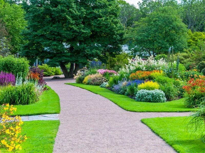 Gardening & Outdoor: A Practical Guide to Growing a Thriving Garden